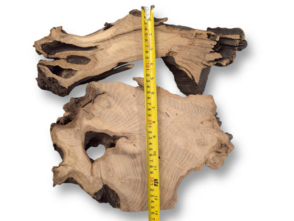 Two irregular, planed black locust root wood slices with visible grain are measured by a yellow tape.