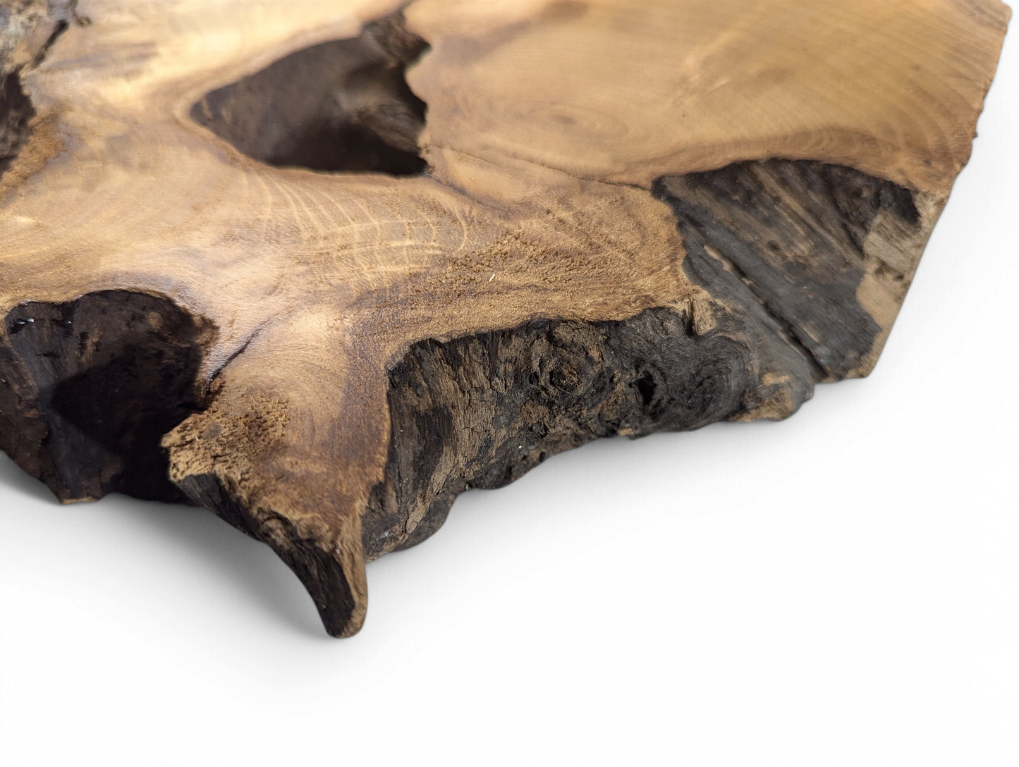 Close-up of an irregular black locust root wood slice, planed, sanded, with dark natural edges and visible grain.