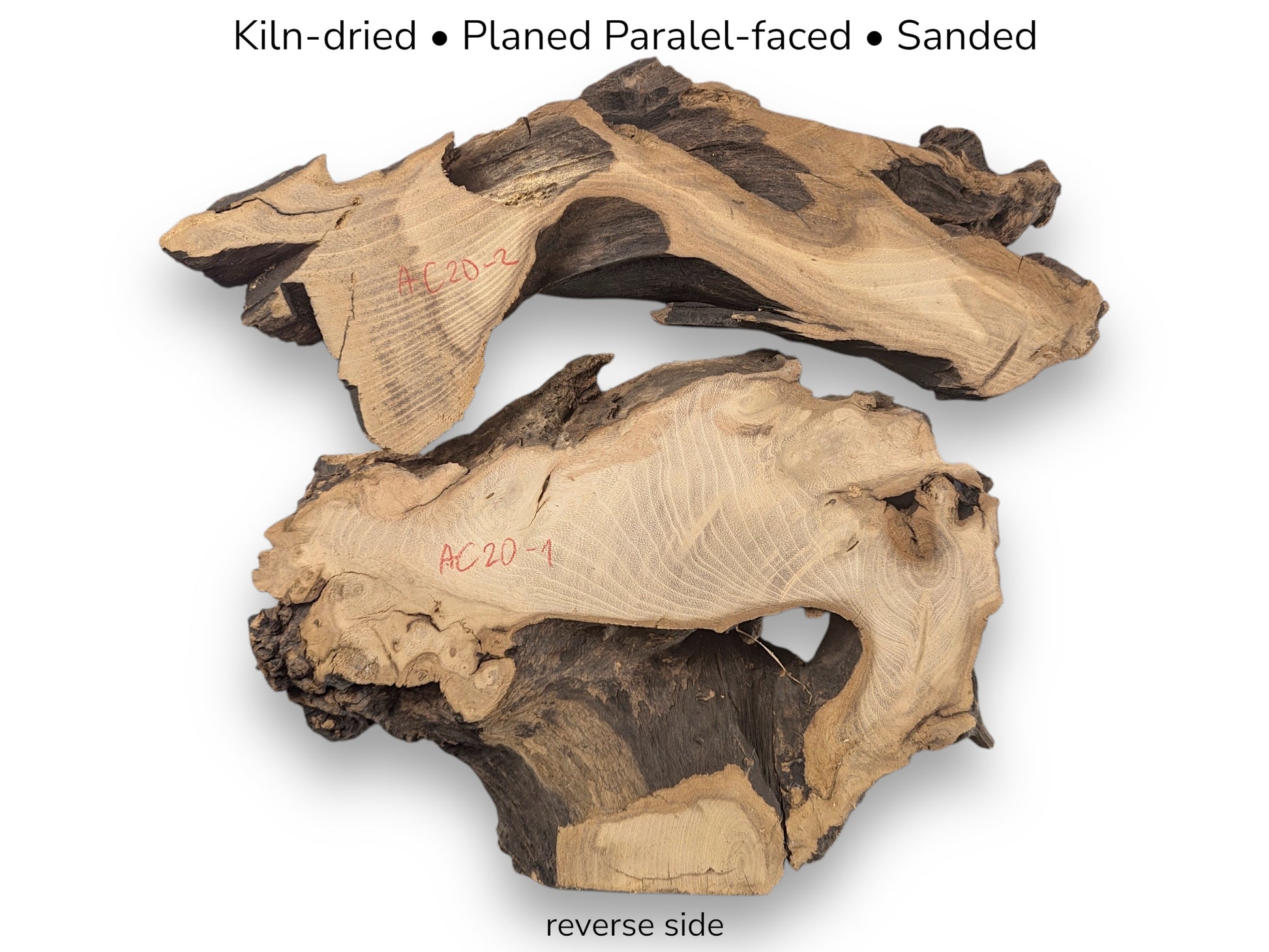 Photograph of two planed, sanded black locust root wood pieces, showing grain and all text overlays.