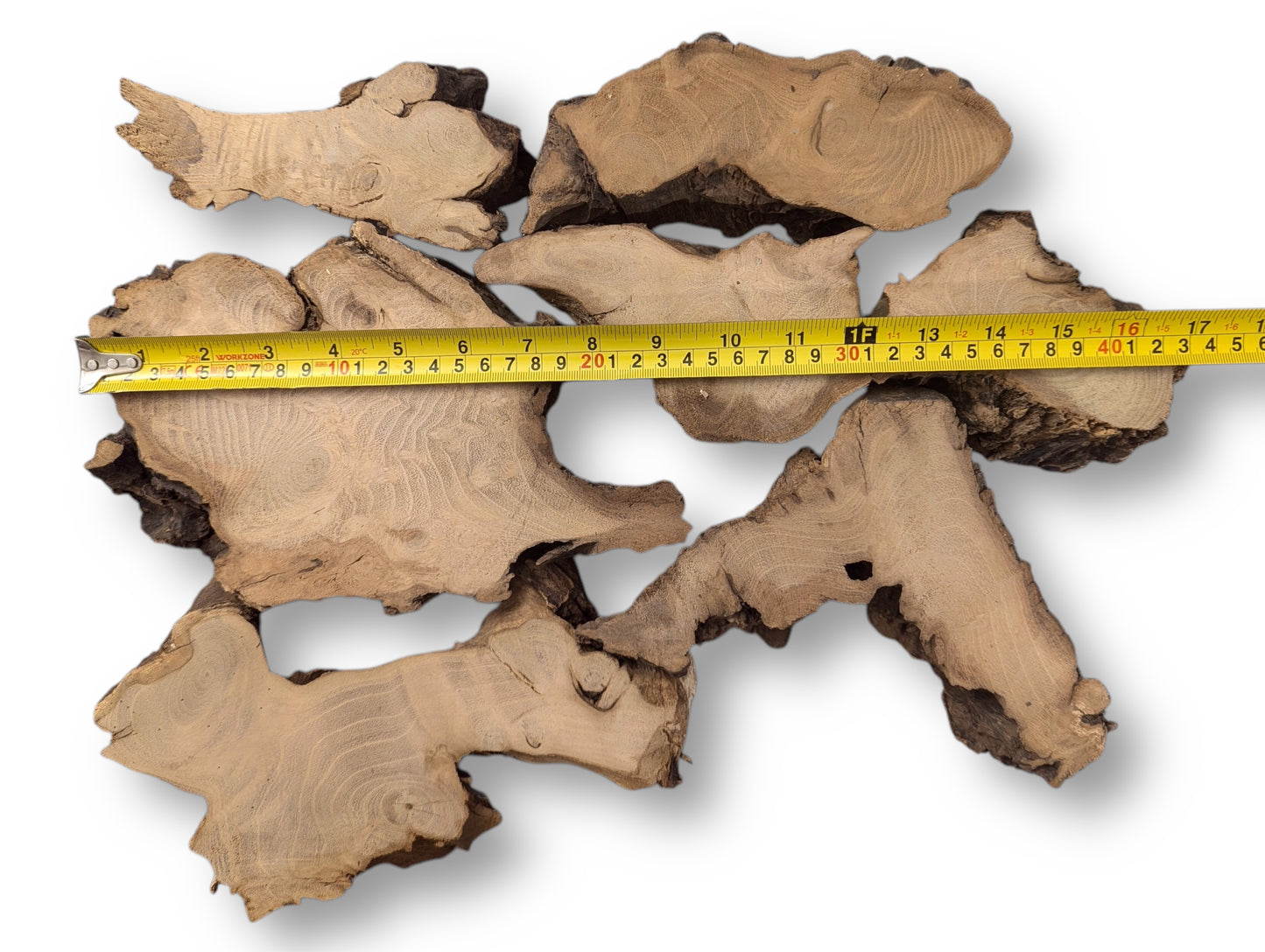 Arrangement of seven irregular black locust root wood slices with bark and a yellow measuring tape.