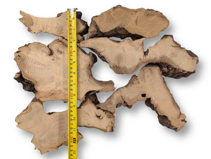 Numerous irregular black locust root wood slices, displaying natural grain, bark edges, and a vertical yellow measuring tape.