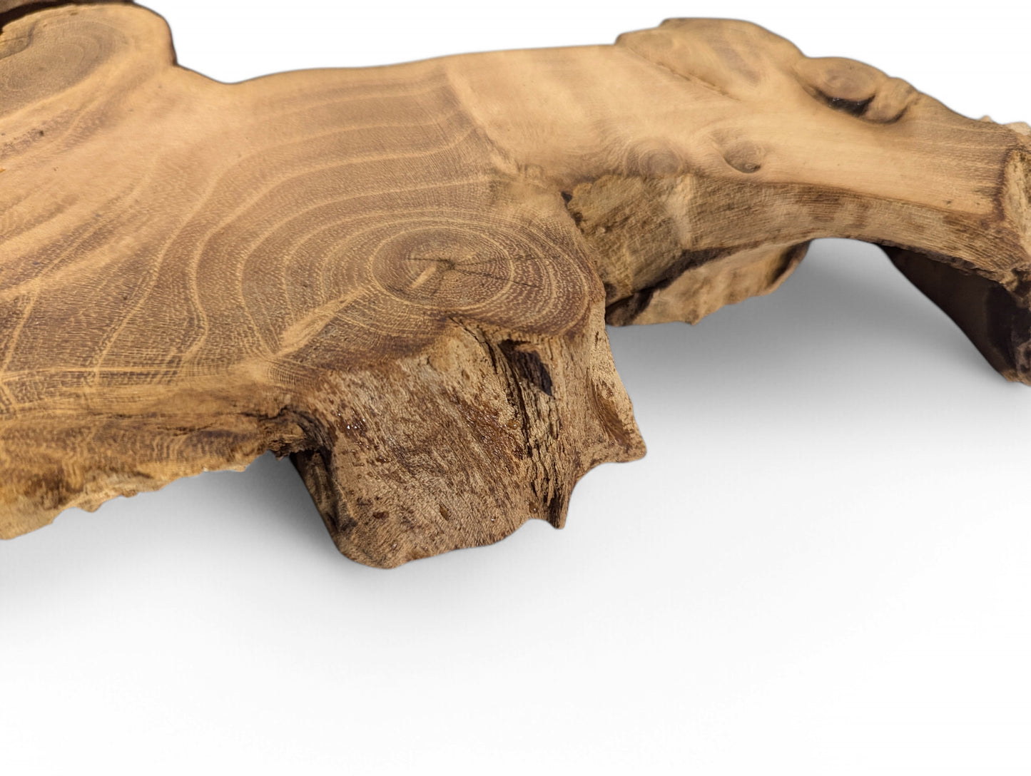 Close-up of a sanded black locust root wood slice, showing swirling brown grain and natural live edges.