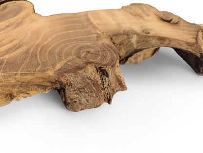 Close-up of a sanded black locust root wood slice, showing swirling brown grain and natural live edges.