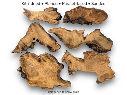 Image with text shows six dampened, planed black locust root slices with prominent grain and bark.