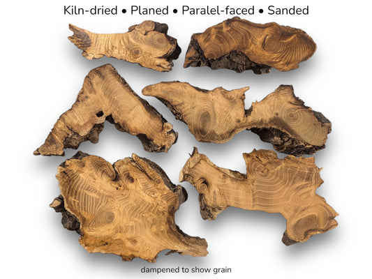 Image with text shows six dampened, planed black locust root slices with prominent grain and bark.