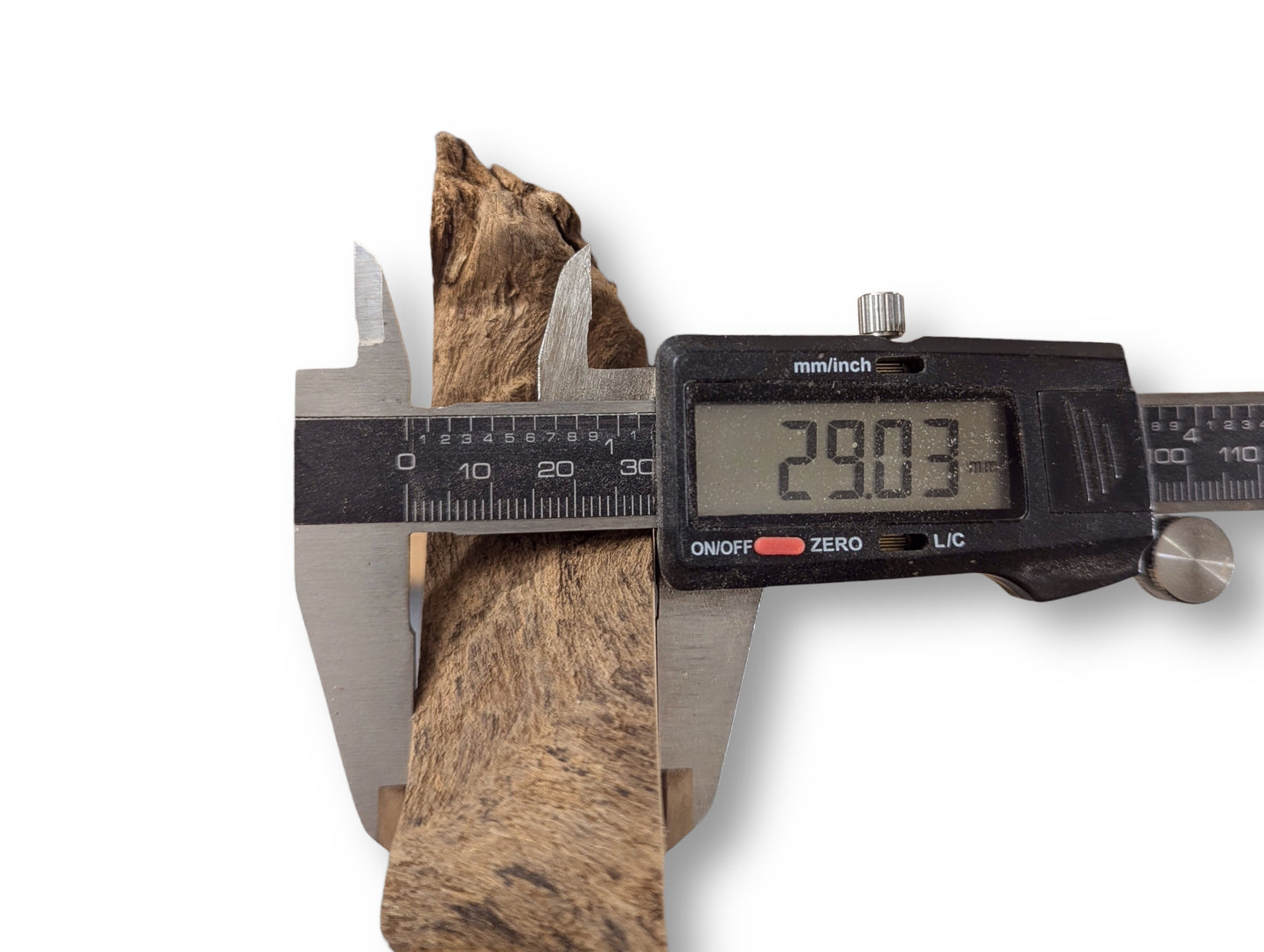 A digital caliper measures the thickness of an irregular, brown black locust root wood slice, showing 29.03 mm.