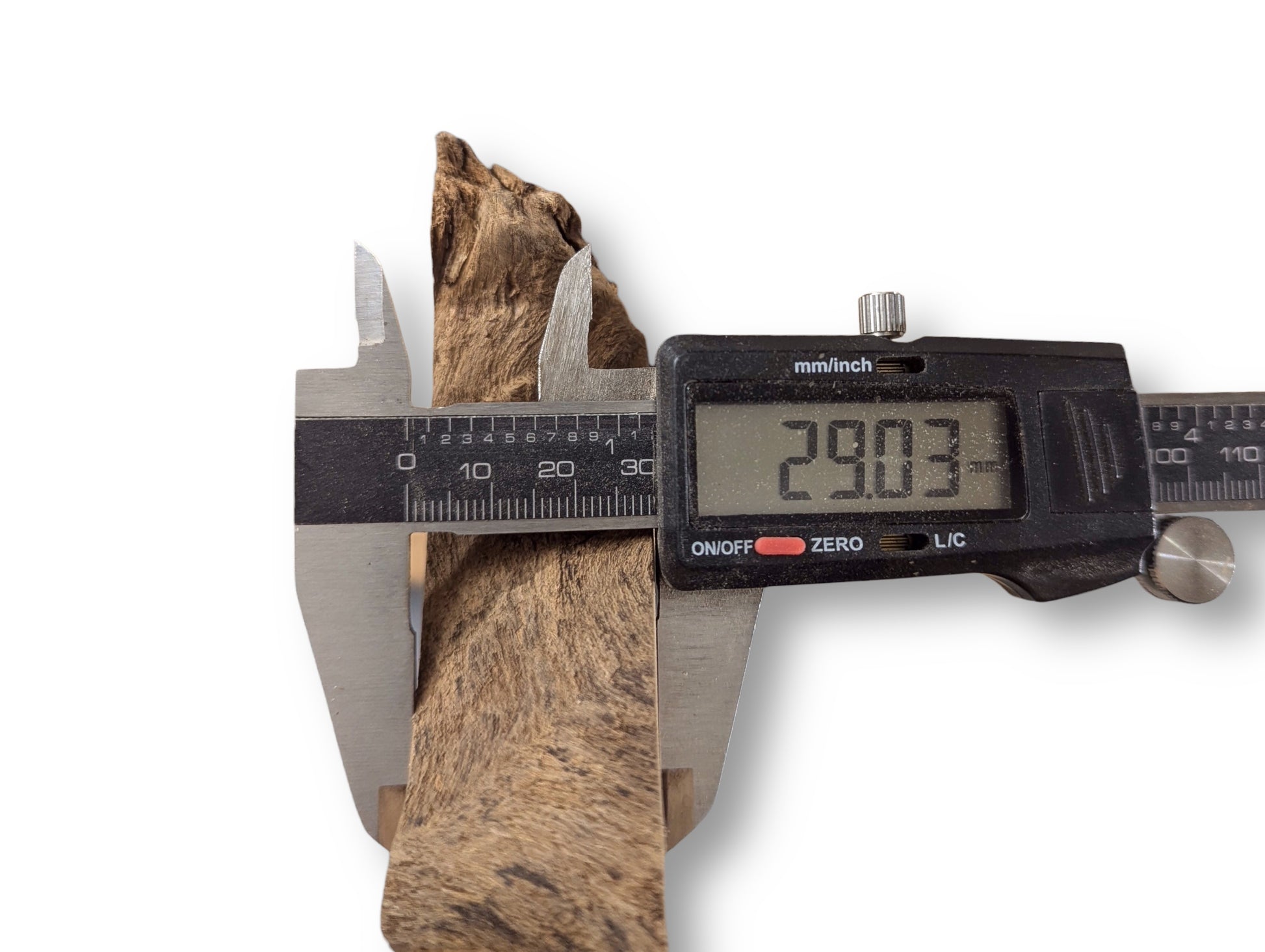 A digital caliper measures the thickness of an irregular, brown black locust root wood slice, showing 29.03 mm.