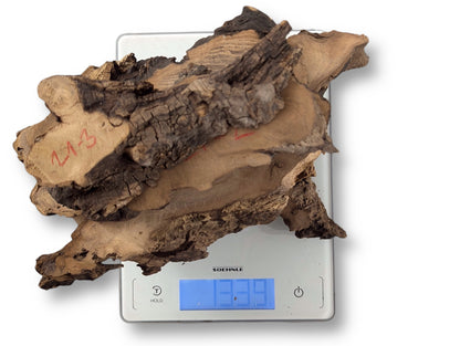 A cluster of irregular black locust root wood pieces, bark-covered and marked '21-3', weighs 339.