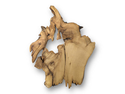 Irregularly shaped black locust root wood slice with light brown sanded surfaces, prominent grain, and dark natural bark.
