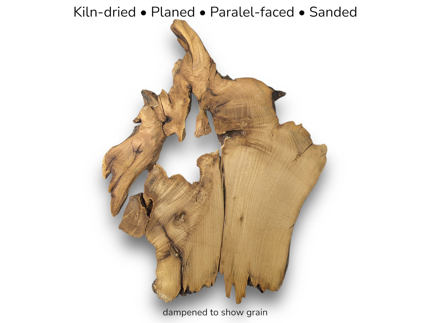 Irregular light brown root wood slice featuring a large central void and text describing wood preparation.
