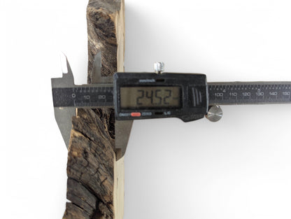 A digital caliper measures the thickness of a dark-barked wood slice, displaying 24.52 mm.
