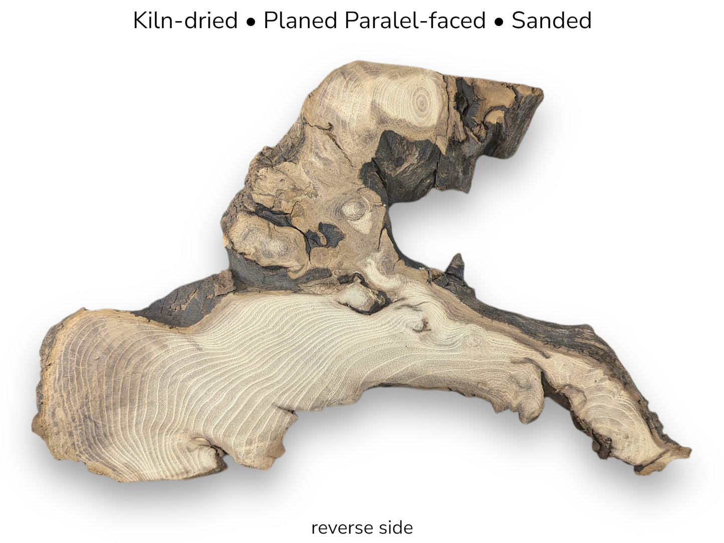 Image displays an irregular, sanded black locust root wood slice, reverse, with preparation text overlay.