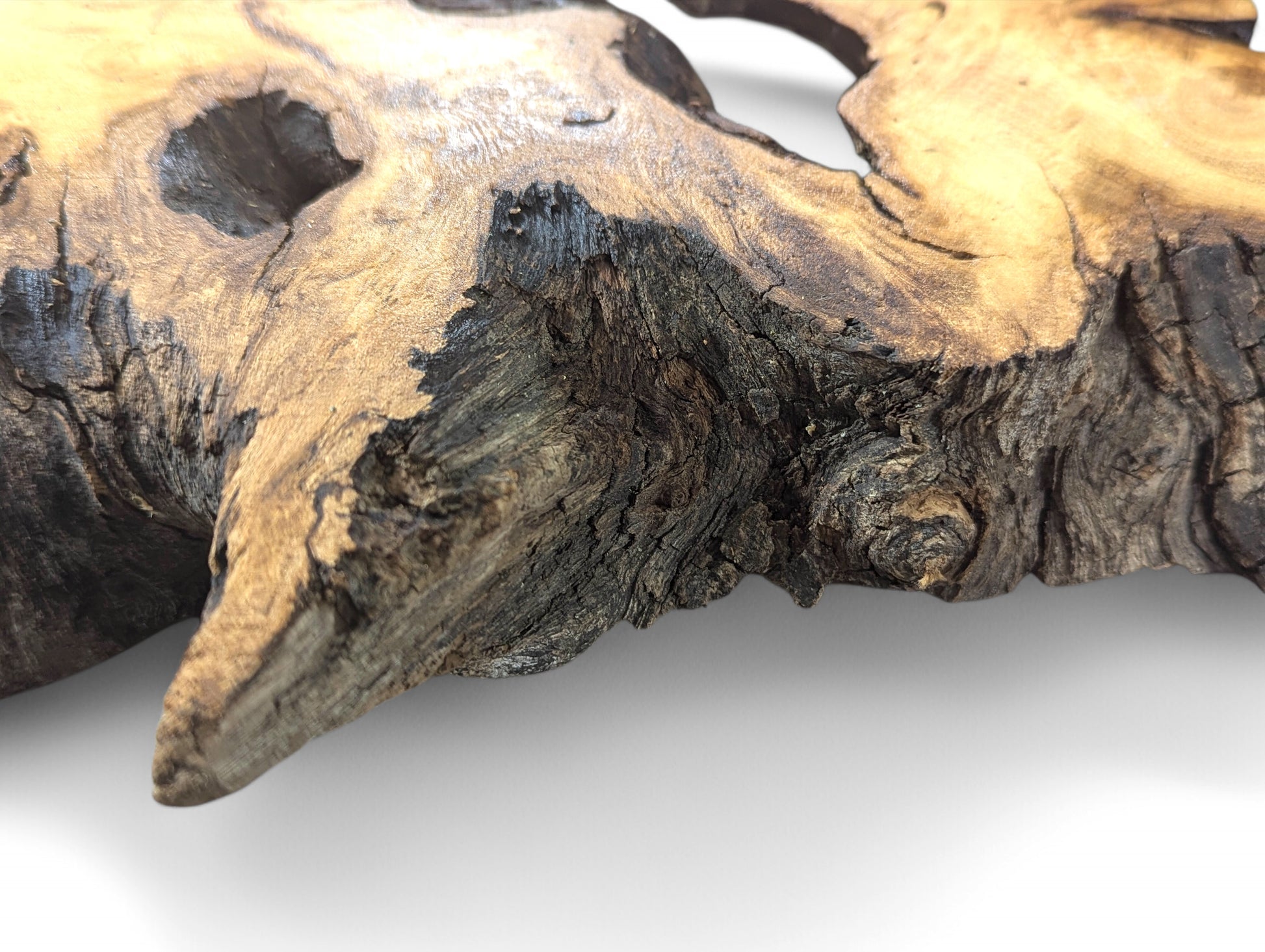 Detailed view of an irregular black locust root wood slice, showing smooth sanded wood and rough bark.