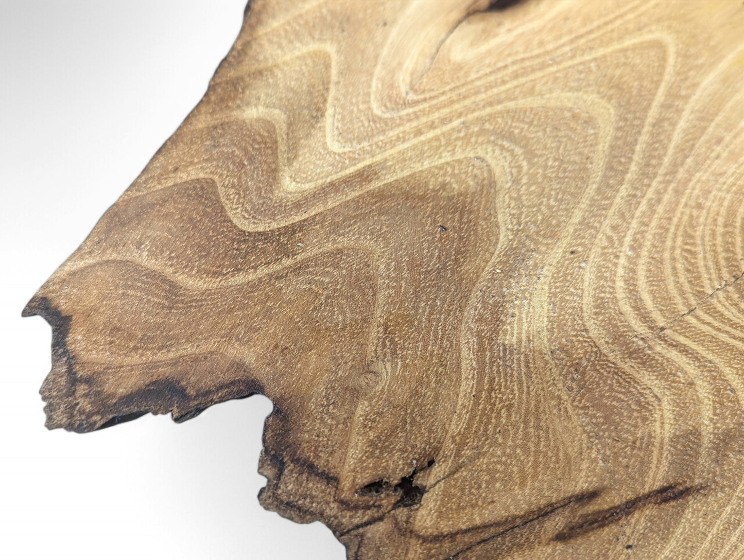 Sanded black locust wood slice displays intricate light brown wavy grain patterns and dark, irregular edges.