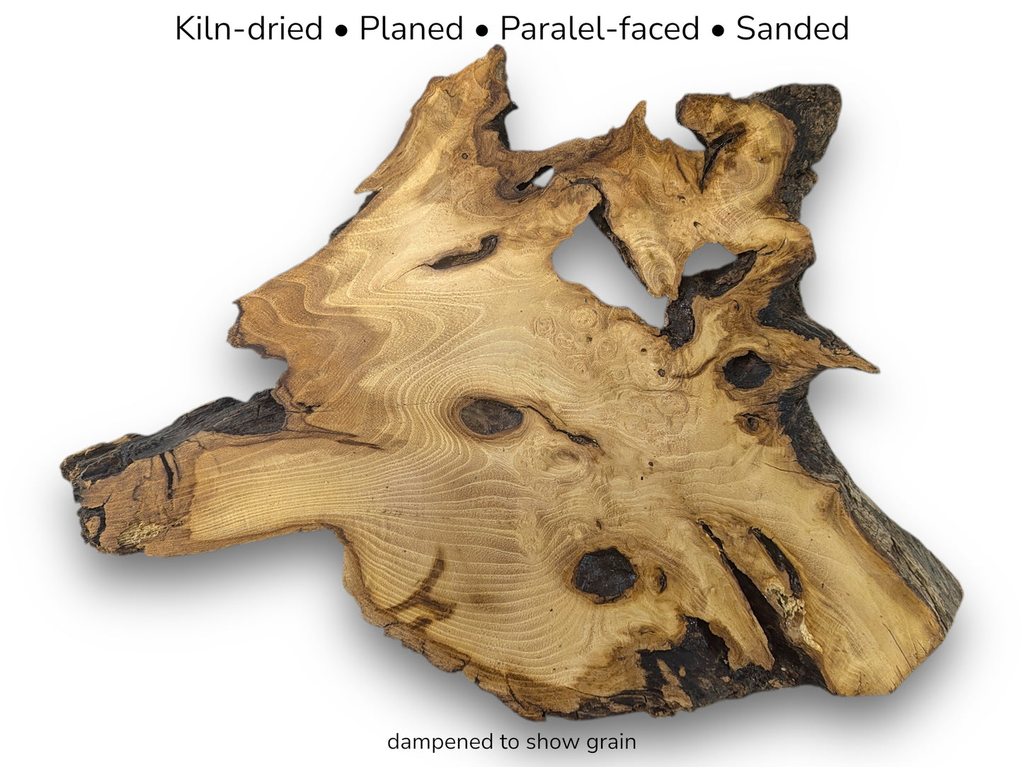 Image with text overlay: a kiln-dried, planed, sanded black locust root wood slice with irregular shape.