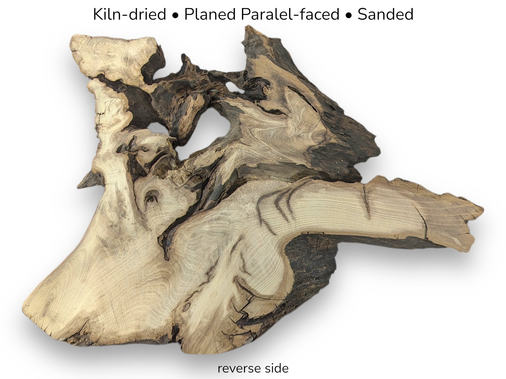 Kiln-dried, planed, sanded black locust root wood slice, irregular shape, natural edges, with text overlay.