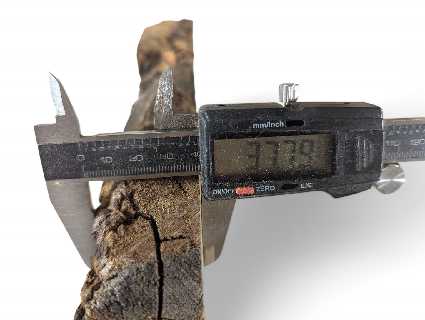 Digital caliper measures a dark, cracked black locust root wood slice, displaying 37.79 mm.