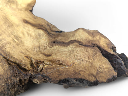 Angled view of a planed, sanded black locust root wood slice with light brown grain and dark natural edges.