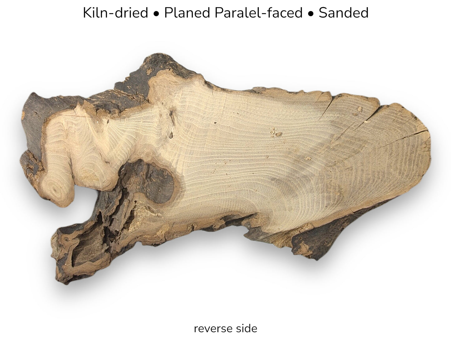Irregular black locust root wood slice with light grain, dark bark, and text detailing preparation and reverse side.
