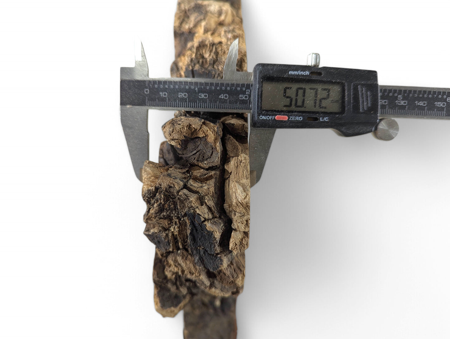 A digital caliper measures a dark, rough black locust root wood piece, showing 50.72 mm.