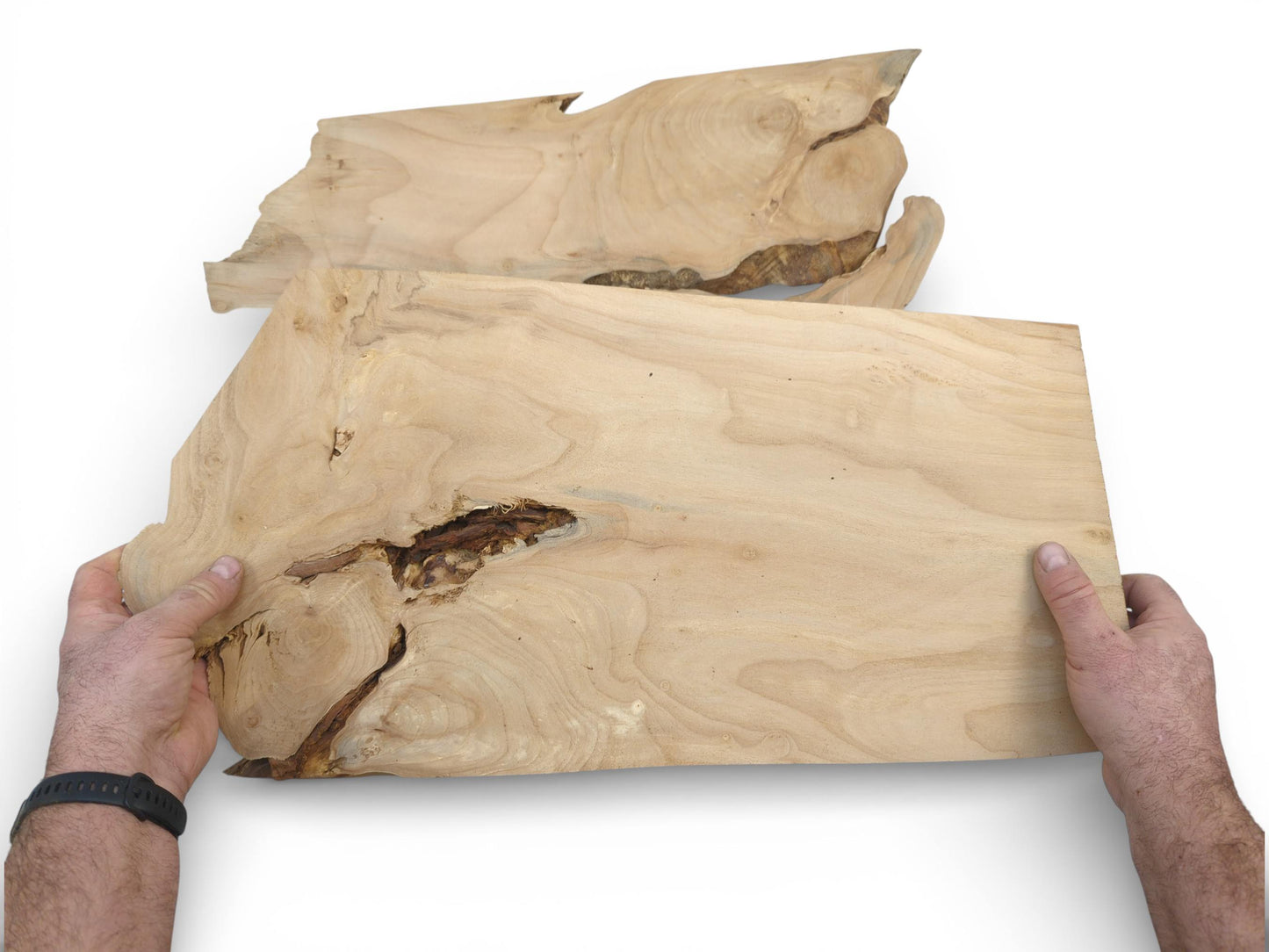 Hands presenting a large, unfinished alder slab with knots, with a second piece in the background.