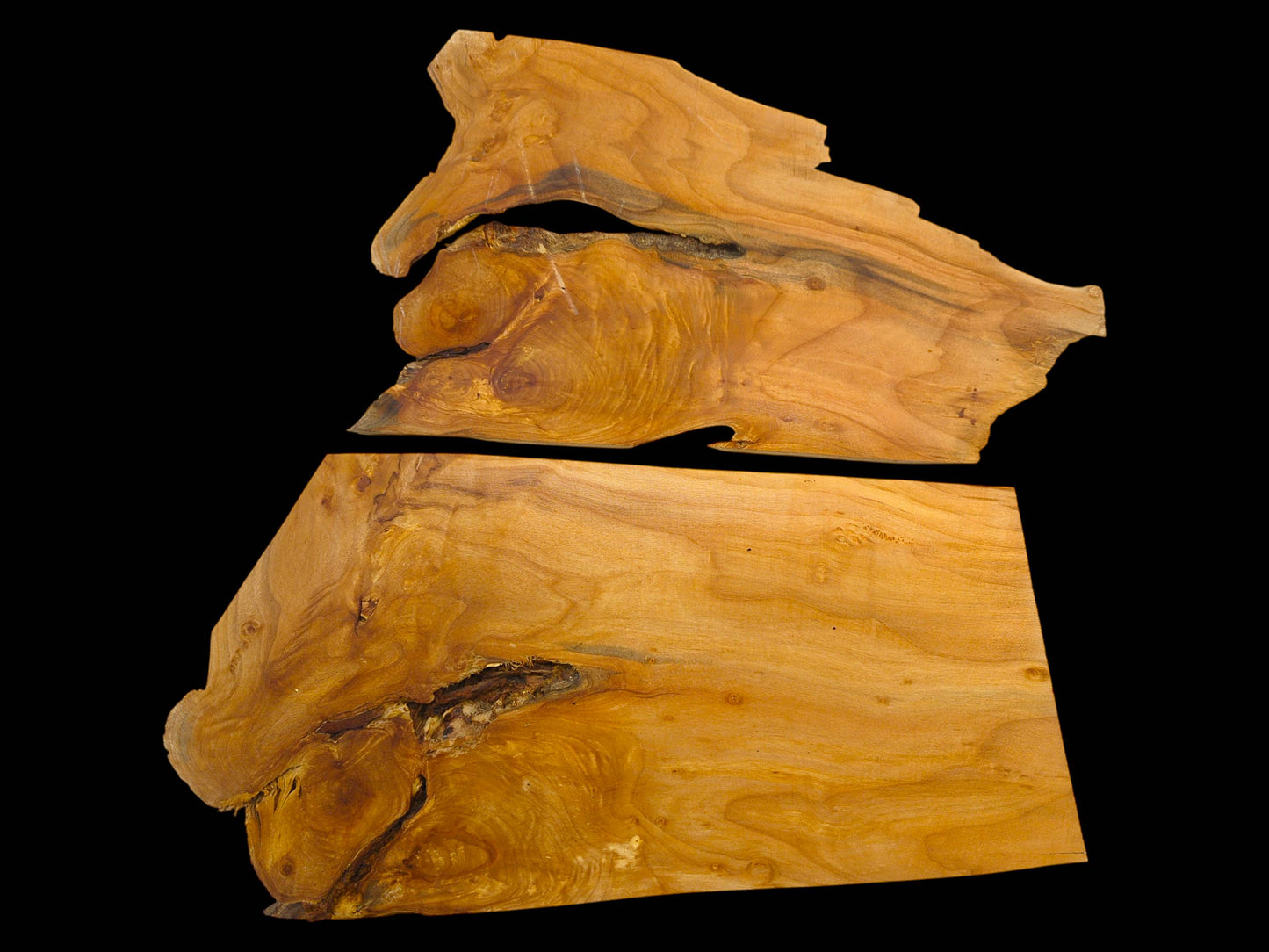 Two raw alder wood slices with natural edges, displaying prominent knots and warm-toned, wavy grain.