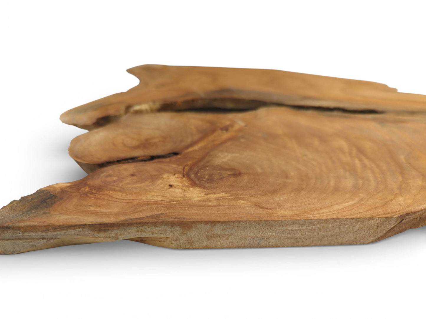A perspective view of a raw alder wood slice showing its light brown concentric grain patterns.