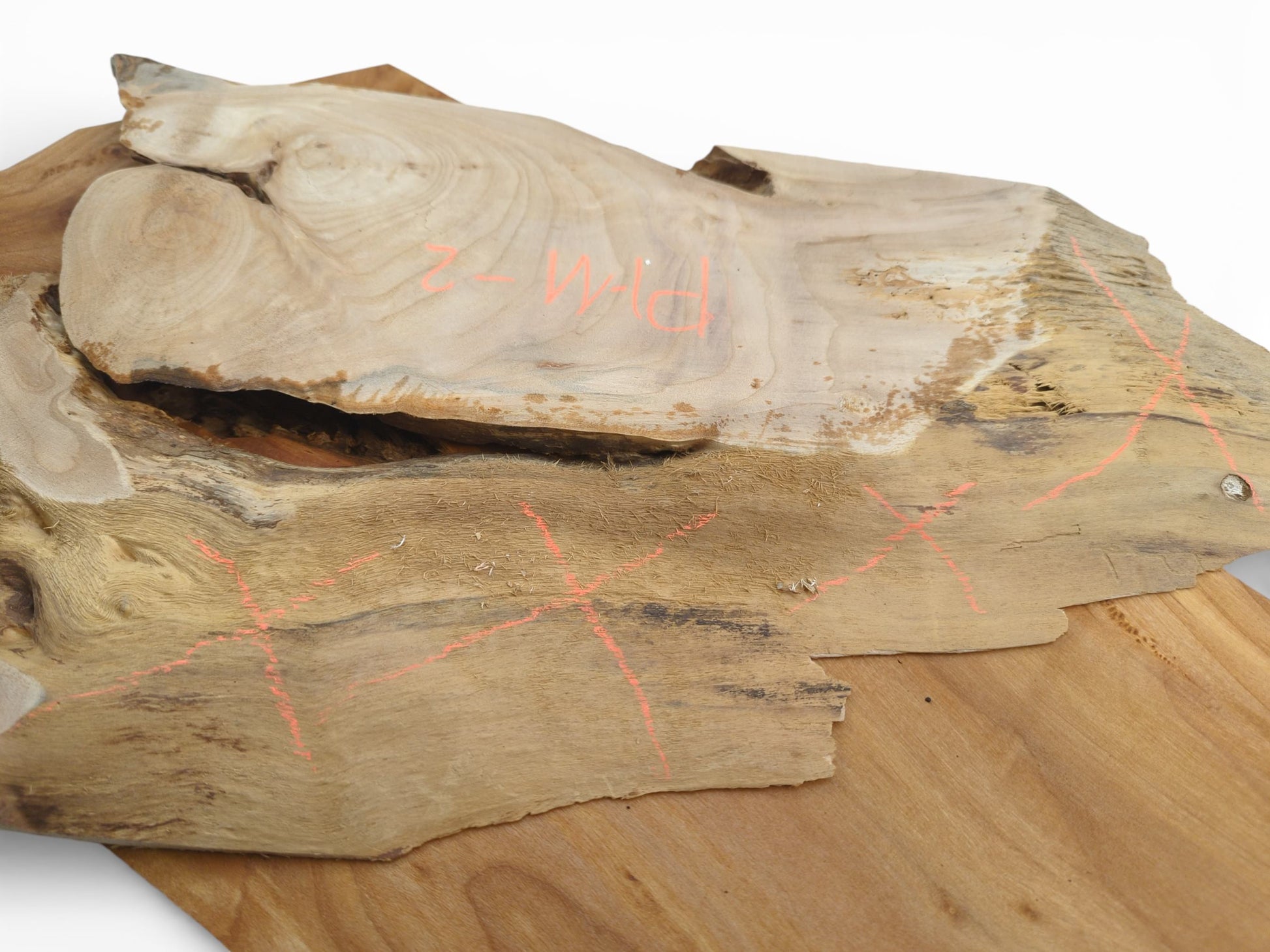 A detailed perspective on a raw alder wood slab featuring its distinct grain and orange markings.