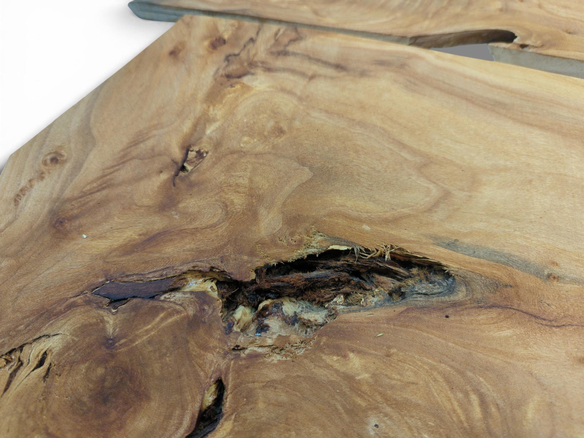 A detailed macro shot of a raw alder slab showing the coarse texture within a knot.