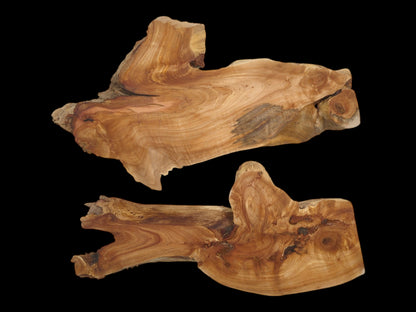 Two raw alder root sections display organic contours, warm-toned linear figuring, and eye-like knots.