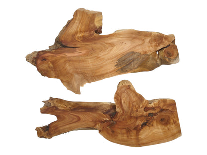 An overhead view of two wood burl sections with undulating grain and rough perimeters.