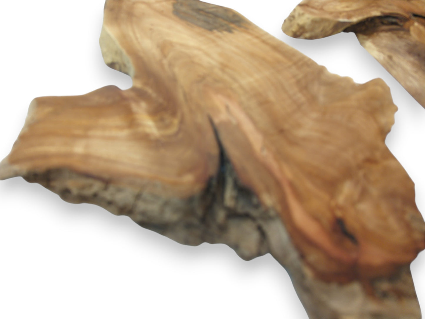 A close-up on a raw timber section reveals a dark fissure and warm, flowing grain.