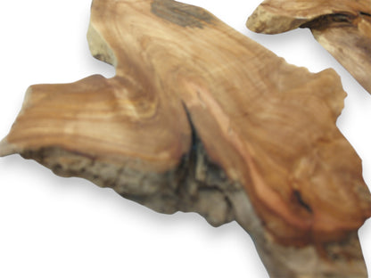 A close-up on a raw timber section reveals a dark fissure and warm, flowing grain.