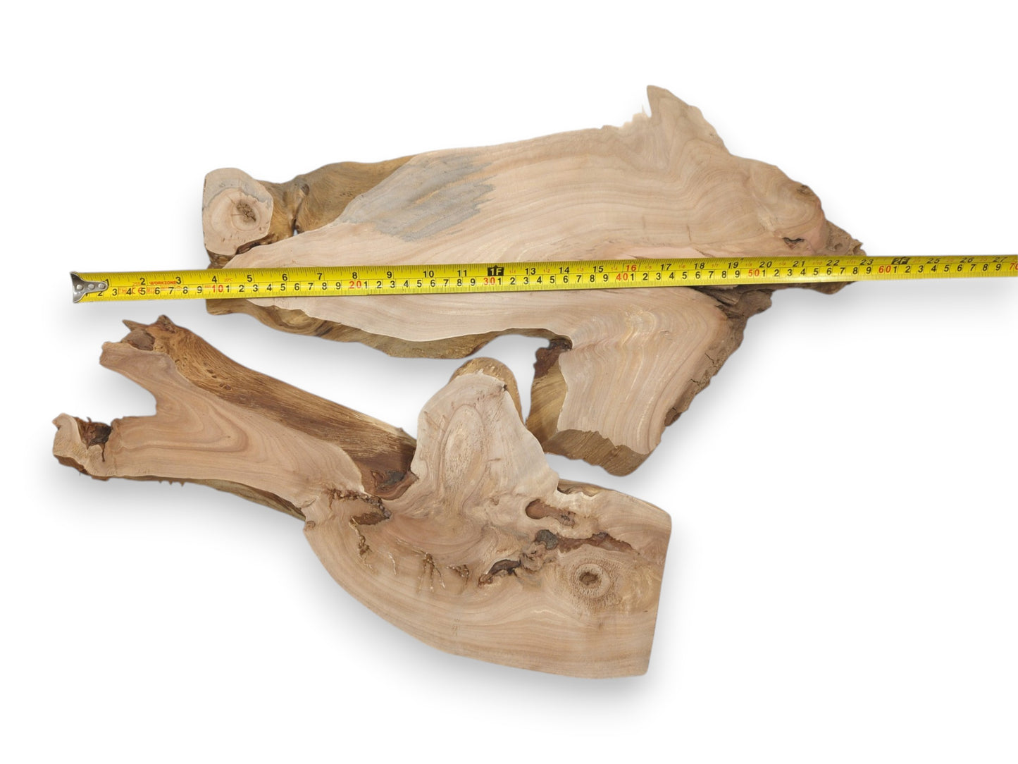 Two raw burl slabs with pale grain and twisting, gnarled edges are measured overhead.