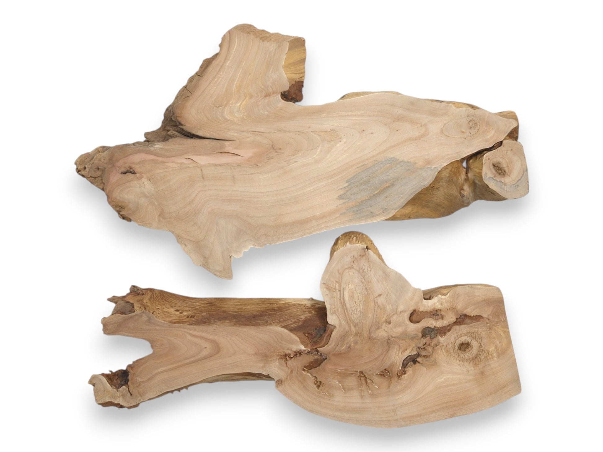 Two unfinished alder root pieces with smooth, flowing grain and organic edges are viewed overhead.