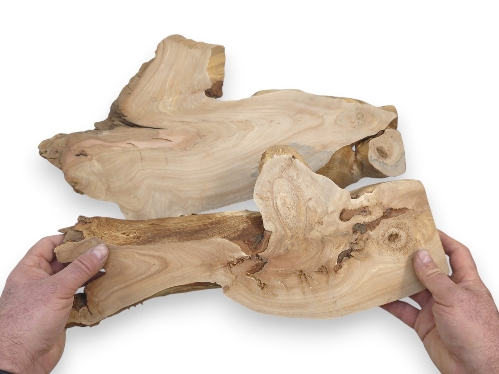 Hands display a knotty, raw-edged timber piece over a second slab with wavy grain.