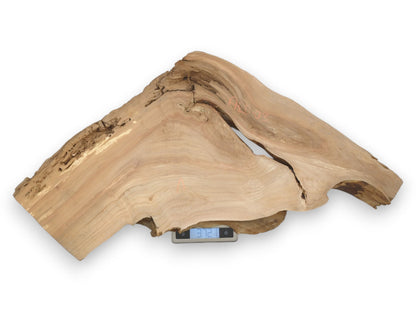A split, wing-shaped timber slab with orange markings is weighed on a digital scale.