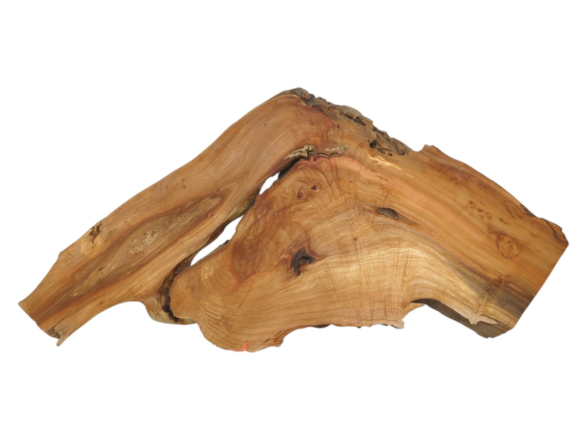 A peaked section of alder timber displays a natural void and rich, undulating grain patterns.