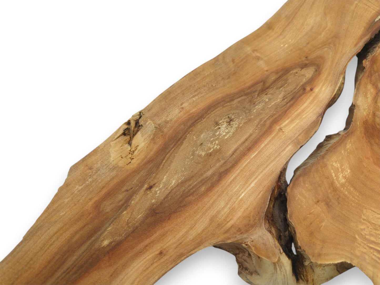 A golden-hued timber section displays a splintered knot and a deep fissure along its side.