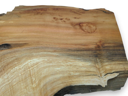 A dark, shadowy band separates pale, contoured grain from the slab's warm, golden surface.