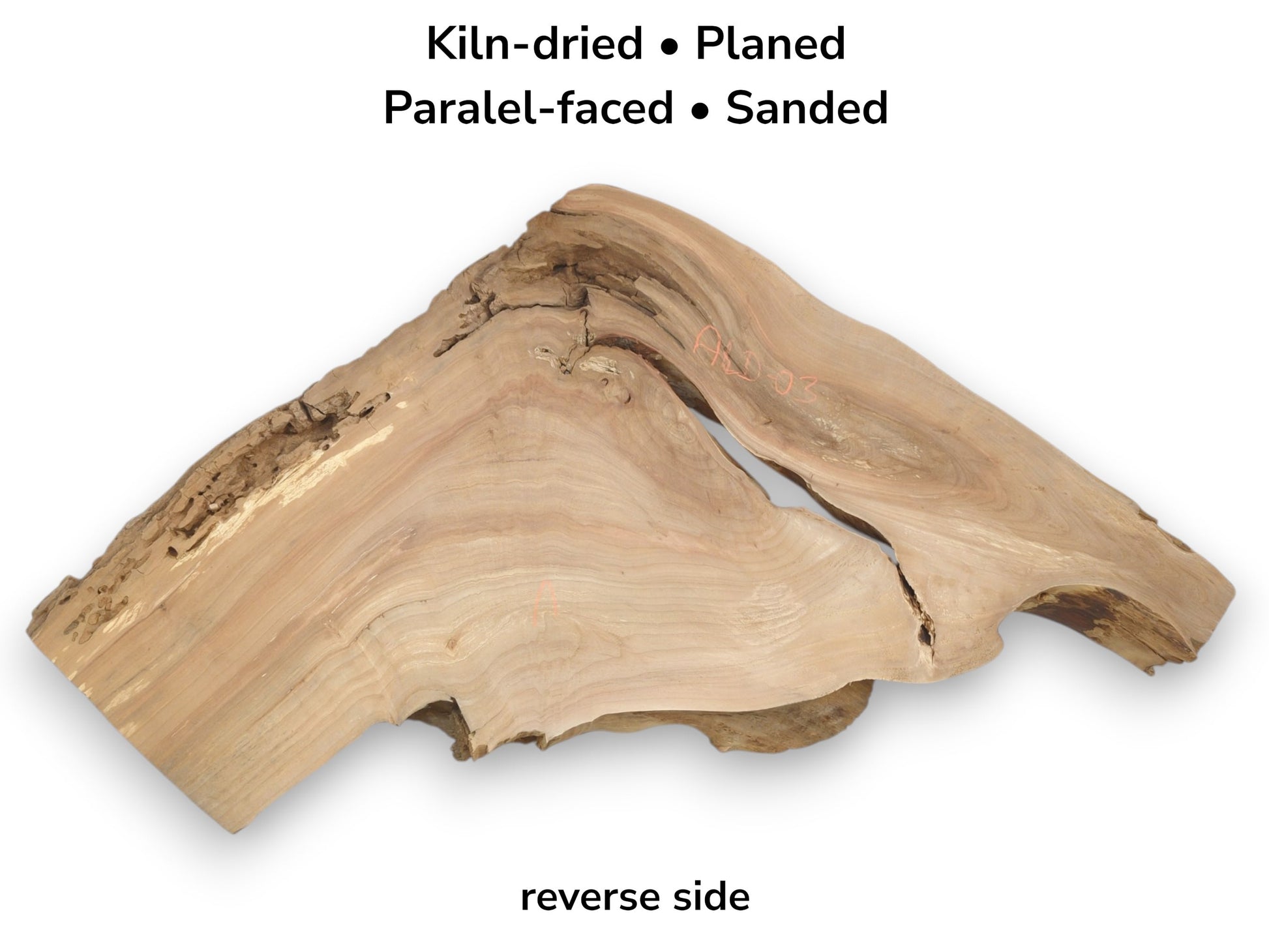 A wide fissure splits this sanded timber slab, revealing contoured grain and insect-bored edges.