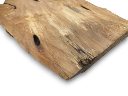 A light-colored wood section displays wavy grain, dark oval cavities, and a splintered edge.