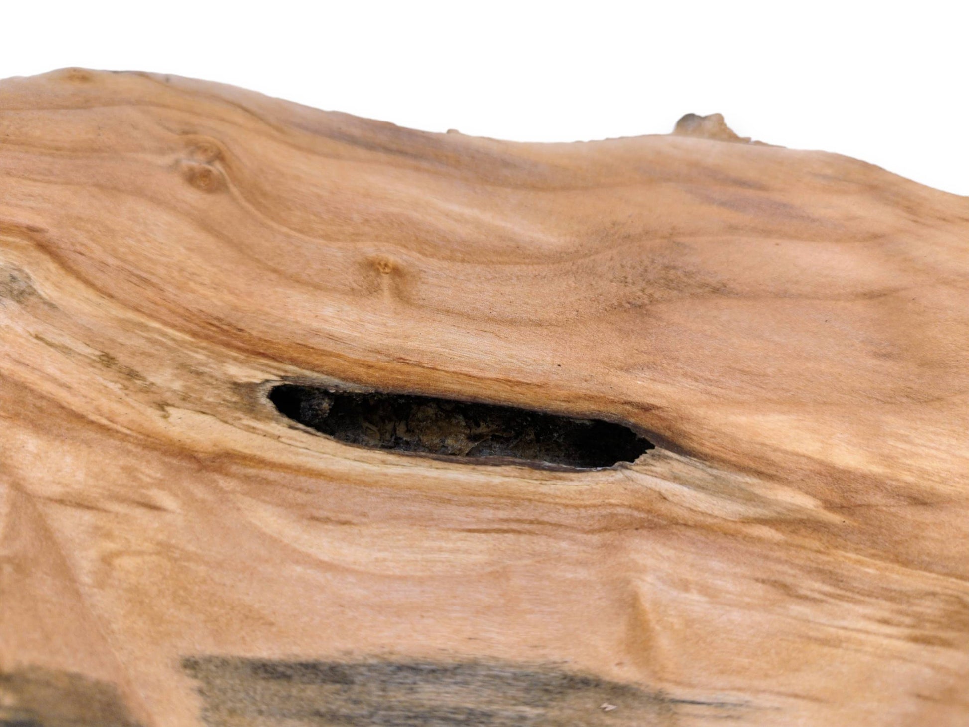A dark, oblong hollow interrupts the smooth, undulating grain of a light-colored wood plank.