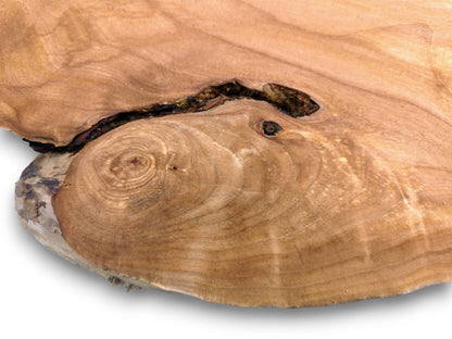 A timber cross-section shows a dark, resinous void above a prominent, eye-like knot.