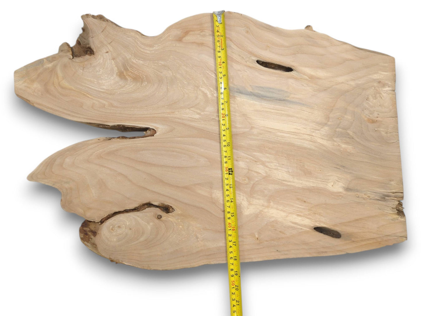Overhead view of a pale, bi-lobed timber section with sweeping grain and dark voids.