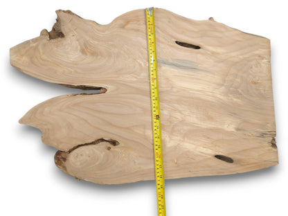 Overhead view of a pale, bi-lobed timber section with sweeping grain and dark voids.