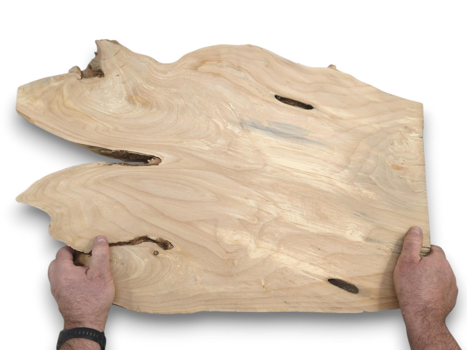 Hands hold a pale, freeform timber piece with flowing grain and several dark hollows.