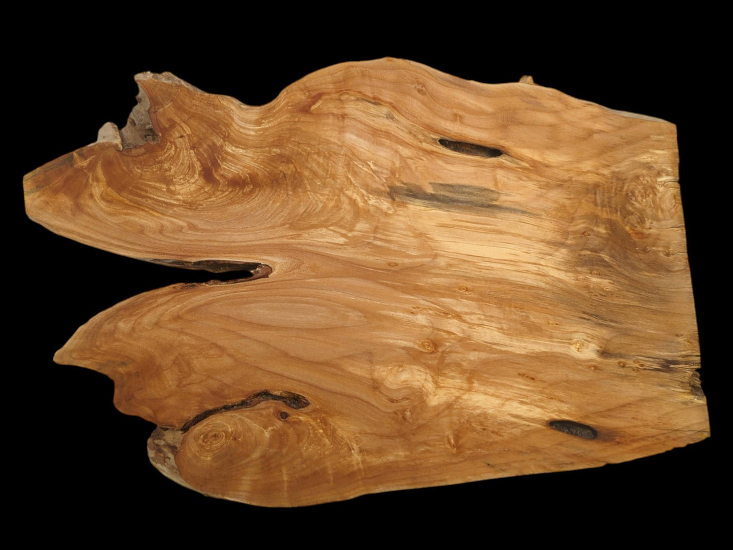 An irregularly shaped wood plank with a deep lateral cutout and flowing, burled grain.