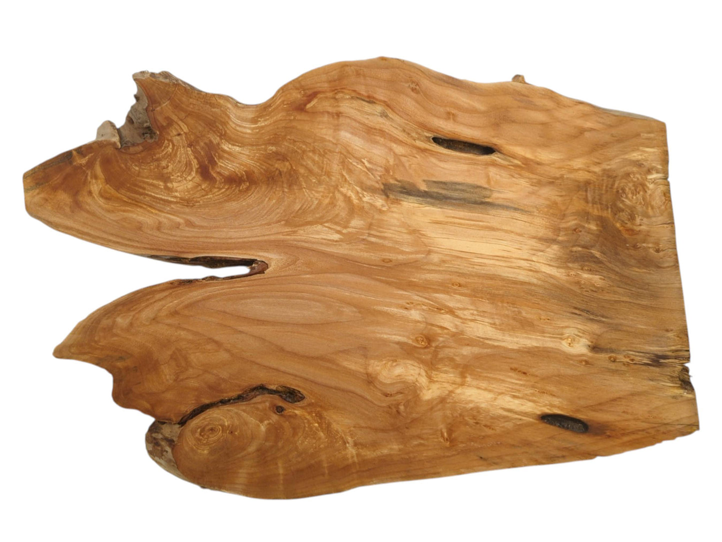 A honey-toned timber section with a large side notch reveals swirling grain and dark hollows.