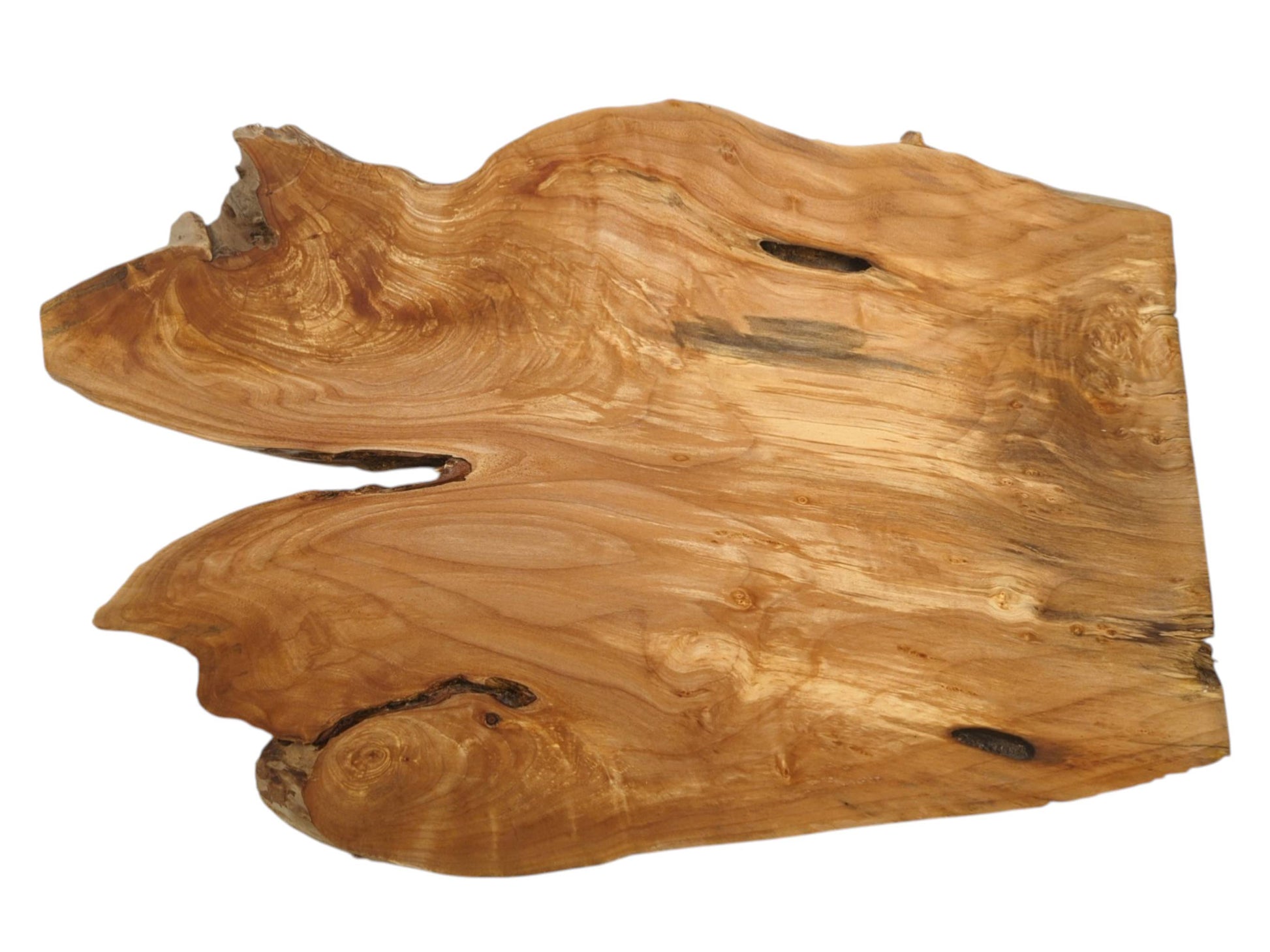 A honey-toned timber section with a large side notch reveals swirling grain and dark hollows.